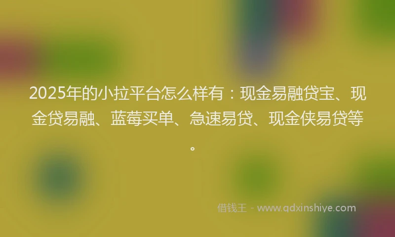 2025年的小拉平台怎么样有：现金易融贷宝、现金贷易融、蓝莓买单、急速易贷、现金侠易贷等。