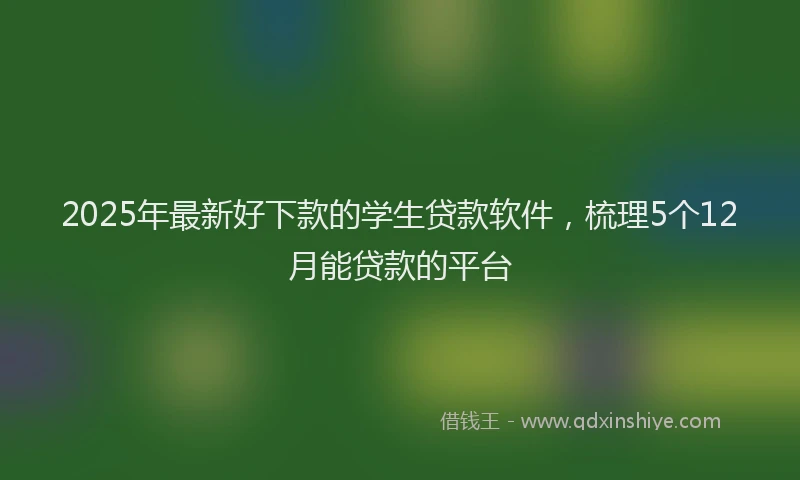 2025年最新好下款的学生贷款软件，梳理5个12月能贷款的平台