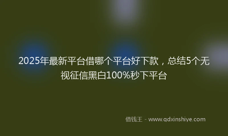 2025年最新平台借哪个平台好下款，总结5个无视征信黑白100%秒下平台