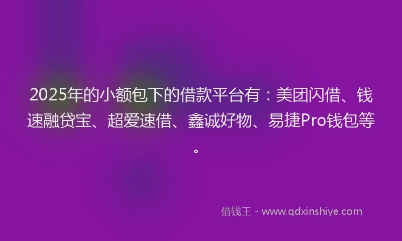 2025年的小额包下的借款平台有：美团闪借、钱速融贷宝、超爱速借、鑫诚好物、易捷Pro钱包等。