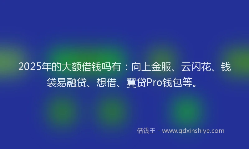 2025年的大额借钱吗有：向上金服、云闪花、钱袋易融贷、想借、翼贷Pro钱包等。