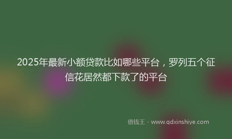 2025年最新小额贷款比如哪些平台，罗列五个征信花居然都下款了的平台