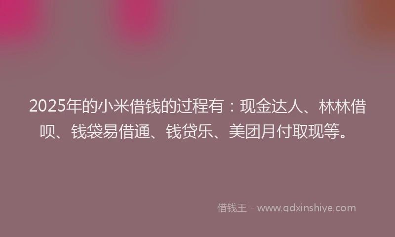 2025年的小米借钱的过程有：现金达人、林林借呗、钱袋易借通、钱贷乐、美团月付取现等。