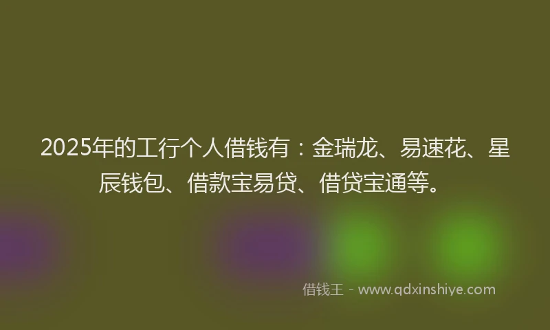 2025年的工行个人借钱有：金瑞龙、易速花、星辰钱包、借款宝易贷、借贷宝通等。