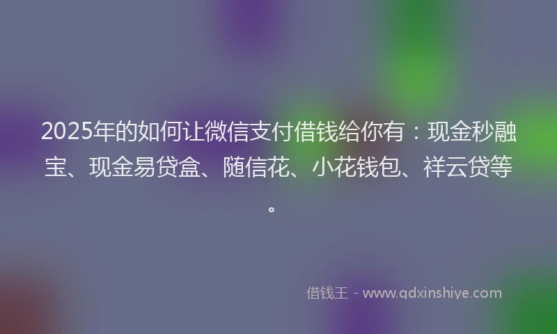 2025年的如何让微信支付借钱给你有：现金秒融宝、现金易贷盒、随信花、小花钱包、祥云贷等。