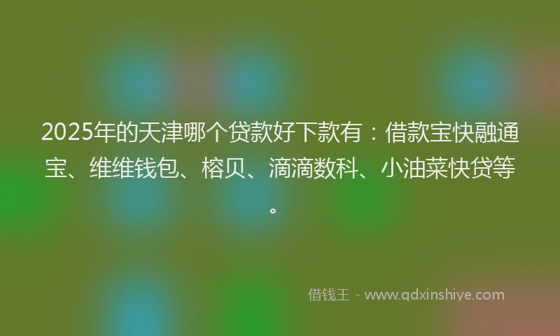 2025年的天津哪个贷款好下款有：借款宝快融通宝、维维钱包、榕贝、滴滴数科、小油菜快贷等。