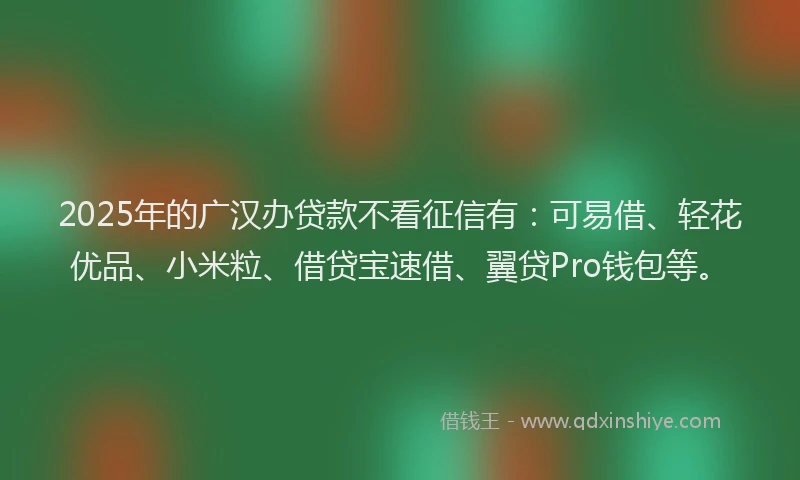 2025年的广汉办贷款不看征信有：可易借、轻花优品、小米粒、借贷宝速借、翼贷Pro钱包等。