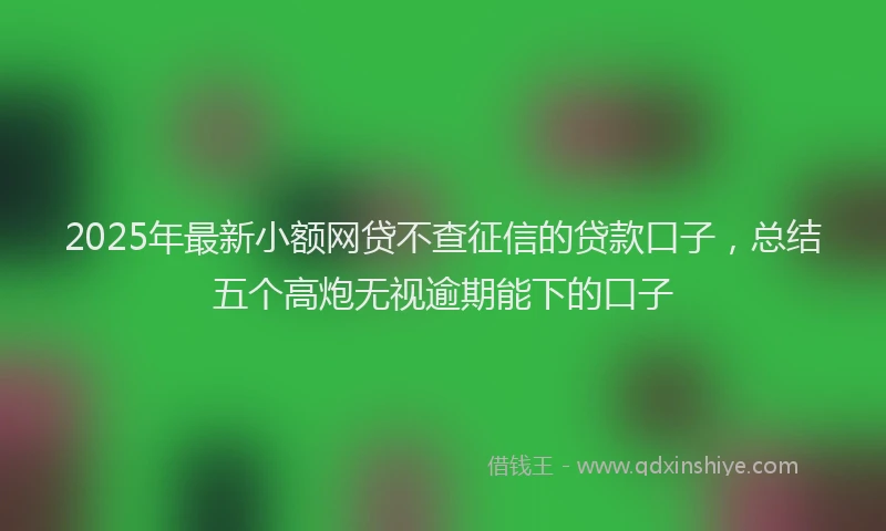 2025年最新小额网贷不查征信的贷款口子，总结五个高炮无视逾期能下的口子