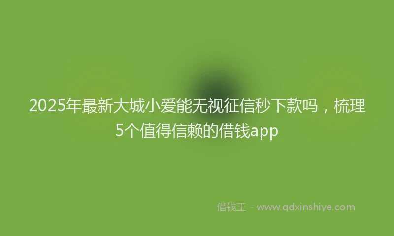 2025年最新大城小爱能无视征信秒下款吗，梳理5个值得信赖的借钱app
