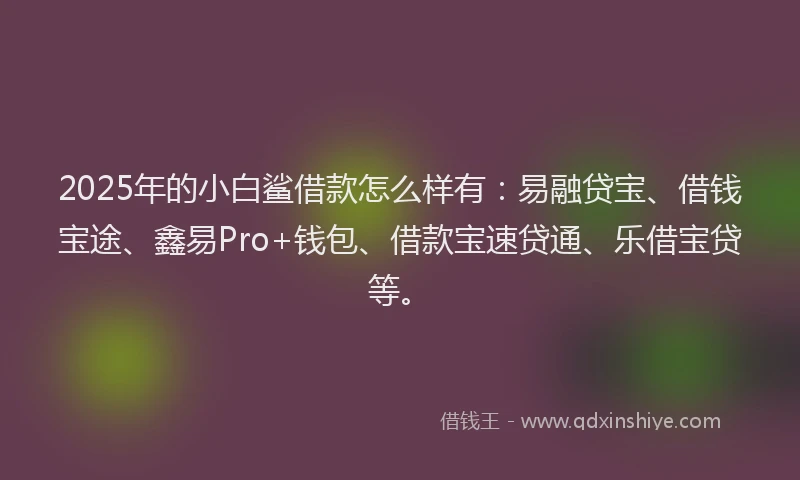 2025年的小白鲨借款怎么样有：易融贷宝、借钱宝途、鑫易Pro+钱包、借款宝速贷通、乐借宝贷等。