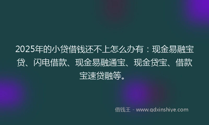 2025年的小贷借钱还不上怎么办有：现金易融宝贷、闪电借款、现金易融通宝、现金贷宝、借款宝速贷融等。