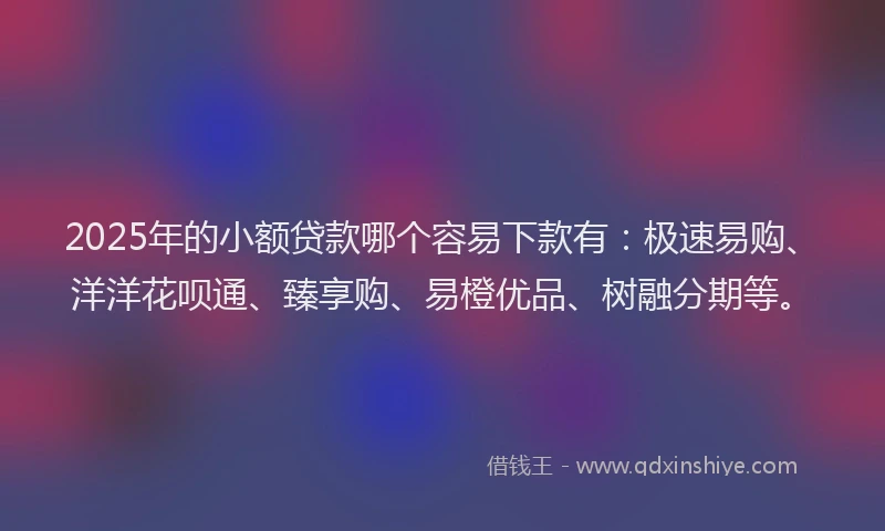 2025年的小额贷款哪个容易下款有：极速易购、洋洋花呗通、臻享购、易橙优品、树融分期等。