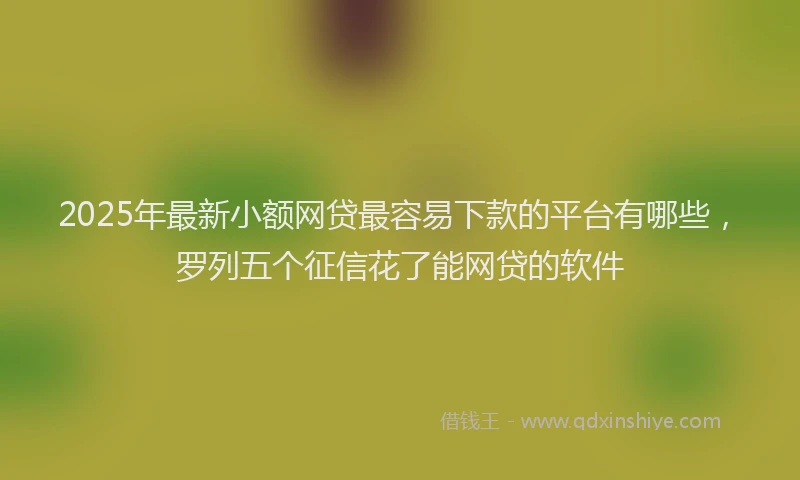 2025年最新小额网贷最容易下款的平台有哪些，罗列五个征信花了能网贷的软件