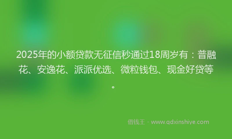 2025年的小额贷款无征信秒通过18周岁有：普融花、安逸花、派派优选、微粒钱包、现金好贷等。