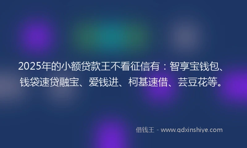 2025年的小额贷款王不看征信有：智享宝钱包、钱袋速贷融宝、爱钱进、柯基速借、芸豆花等。