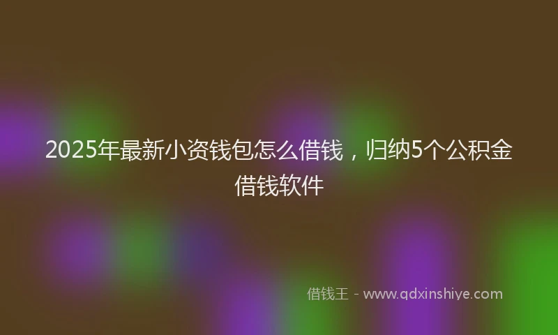 2025年最新小资钱包怎么借钱，归纳5个公积金借钱软件