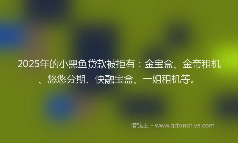 2025年的小黑鱼贷款被拒有：金宝盒、金帝租机、悠悠分期、快融宝盒、一姐租机等。