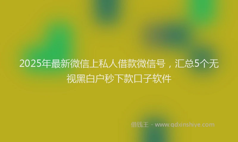 2025年最新微信上私人借款微信号，汇总5个无视黑白户秒下款口子软件