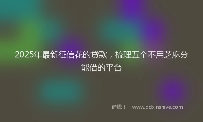 2025年最新征信花的贷款，梳理五个不用芝麻分能借的平台