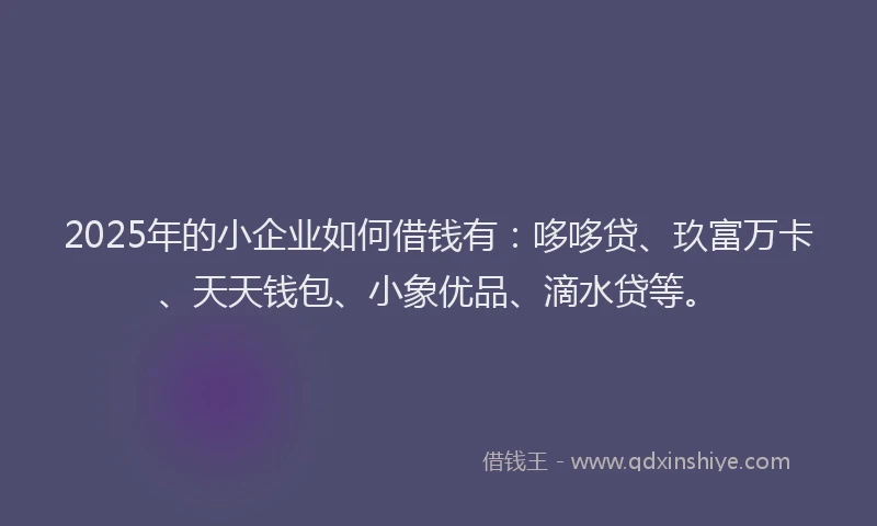 2025年的小企业如何借钱有：哆哆贷、玖富万卡、天天钱包、小象优品、滴水贷等。