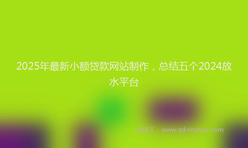2025年最新小额贷款网站制作，总结五个2024放水平台