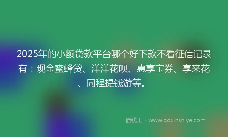 2025年的小额贷款平台哪个好下款不看征信记录有：现金蜜蜂贷、洋洋花呗、惠享宝券、享来花、同程提钱游等。