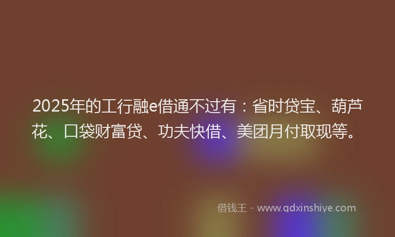 2025年的工行融e借通不过有：省时贷宝、葫芦花、口袋财富贷、功夫快借、美团月付取现等。