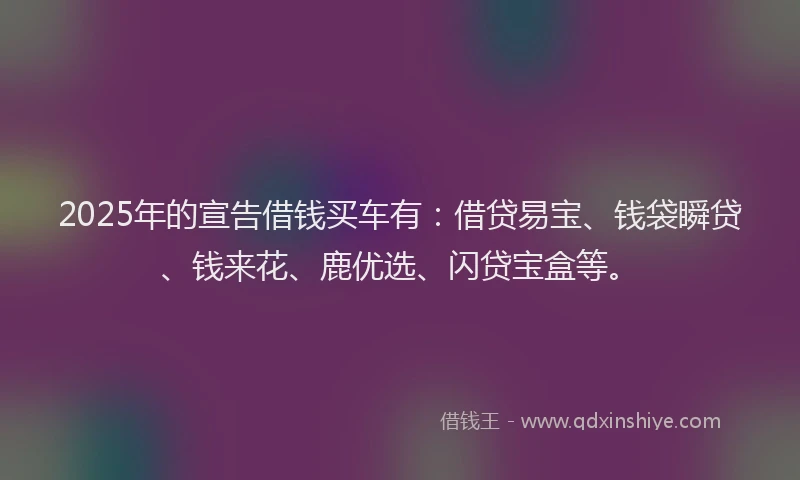 2025年的宣告借钱买车有：借贷易宝、钱袋瞬贷、钱来花、鹿优选、闪贷宝盒等。