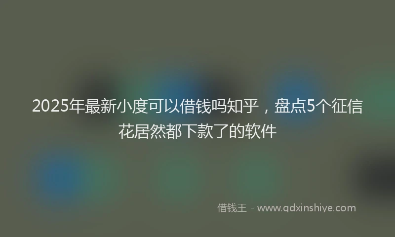 2025年最新小度可以借钱吗知乎，盘点5个征信花居然都下款了的软件