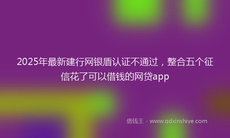 2025年最新建行网银盾认证不通过，整合五个征信花了可以借钱的网贷app