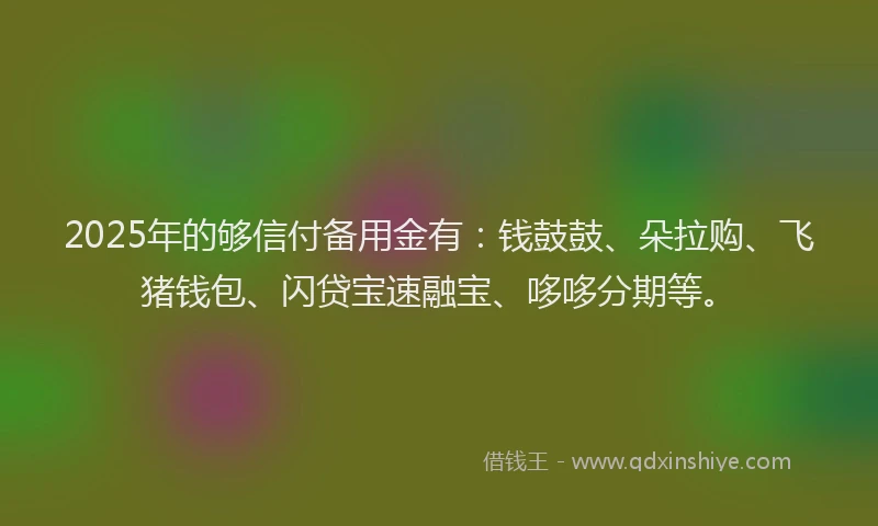 2025年的够信付备用金有：钱鼓鼓、朵拉购、飞猪钱包、闪贷宝速融宝、哆哆分期等。