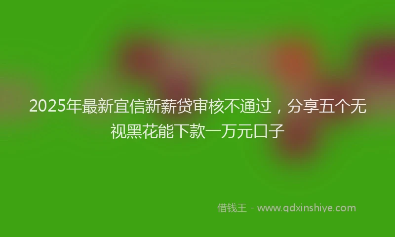 2025年最新宜信新薪贷审核不通过，分享五个无视黑花能下款一万元口子
