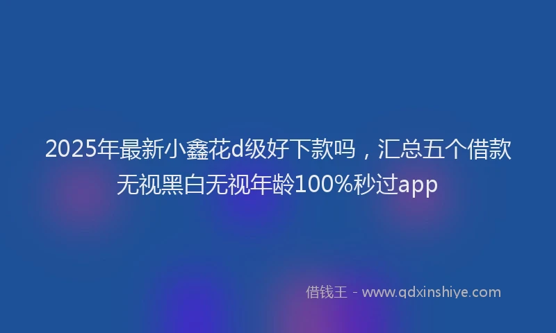 2025年最新小鑫花d级好下款吗，汇总五个借款无视黑白无视年龄100%秒过app