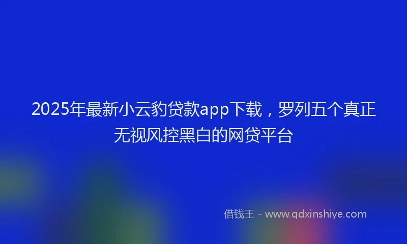 2025年最新小云豹贷款app下载，罗列五个真正无视风控黑白的网贷平台