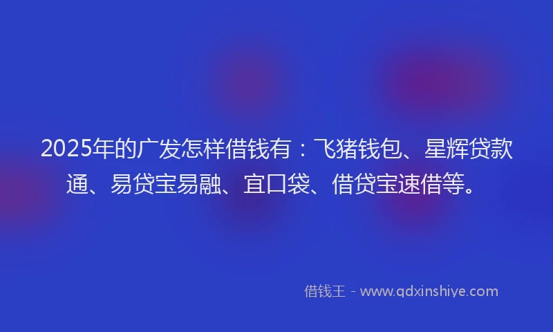 2025年的广发怎样借钱有：飞猪钱包、星辉贷款通、易贷宝易融、宜口袋、借贷宝速借等。