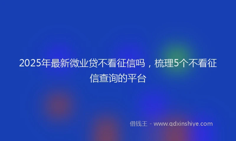 2025年最新微业贷不看征信吗，梳理5个不看征信查询的平台