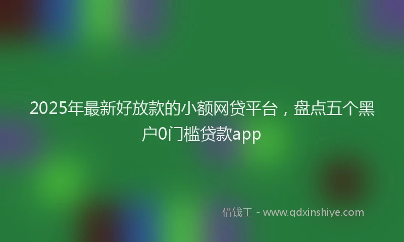 2025年最新好放款的小额网贷平台，盘点五个黑户0门槛贷款app
