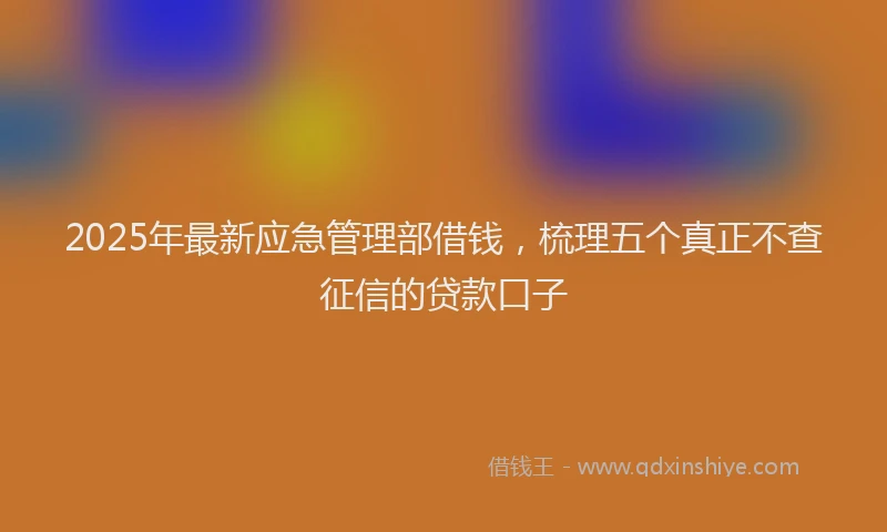 2025年最新应急管理部借钱，梳理五个真正不查征信的贷款口子