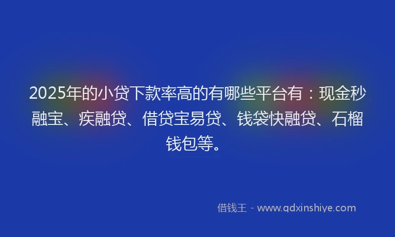 2025年的小贷下款率高的有哪些平台有：现金秒融宝、疾融贷、借贷宝易贷、钱袋快融贷、石榴钱包等。