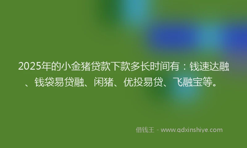 2025年的小金猪贷款下款多长时间有：钱速达融、钱袋易贷融、闲猪、优投易贷、飞融宝等。