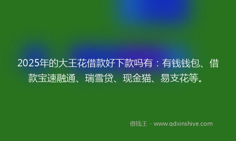 2025年的大王花借款好下款吗有：有钱钱包、借款宝速融通、瑞雪贷、现金猫、易支花等。