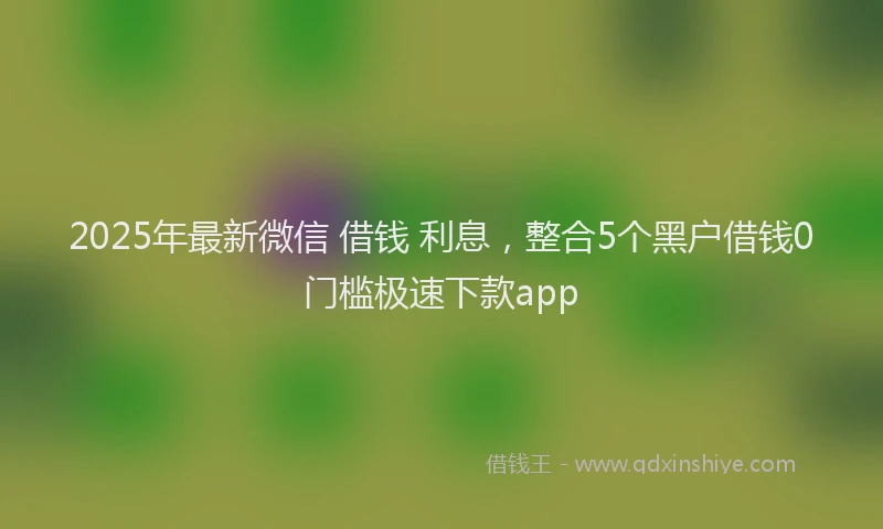 2025年最新微信 借钱 利息，整合5个黑户借钱0门槛极速下款app