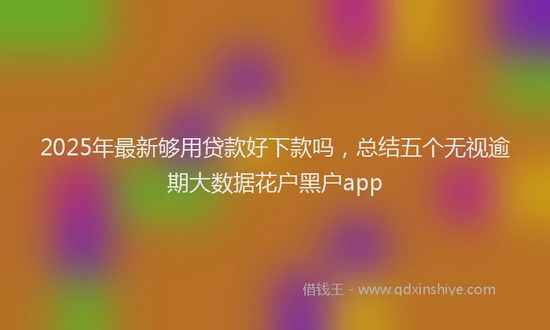 2025年最新够用贷款好下款吗，总结五个无视逾期大数据花户黑户app
