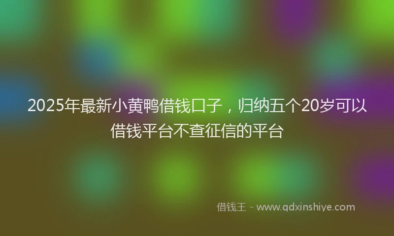 2025年最新小黄鸭借钱口子，归纳五个20岁可以借钱平台不查征信的平台