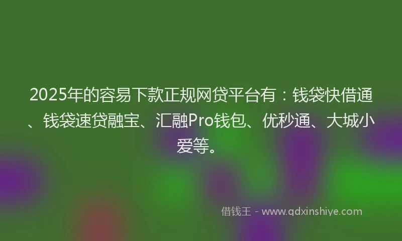 2025年的容易下款正规网贷平台有：钱袋快借通、钱袋速贷融宝、汇融Pro钱包、优秒通、大城小爱等。