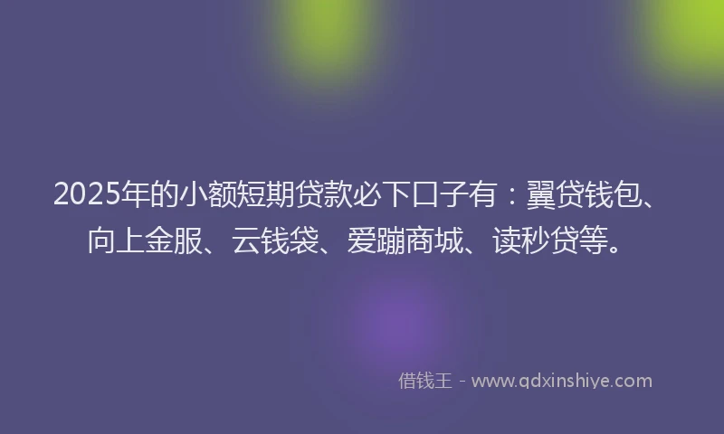 2025年的小额短期贷款必下口子有：翼贷钱包、向上金服、云钱袋、爱蹦商城、读秒贷等。