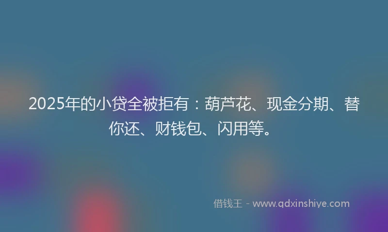 2025年的小贷全被拒有：葫芦花、现金分期、替你还、财钱包、闪用等。