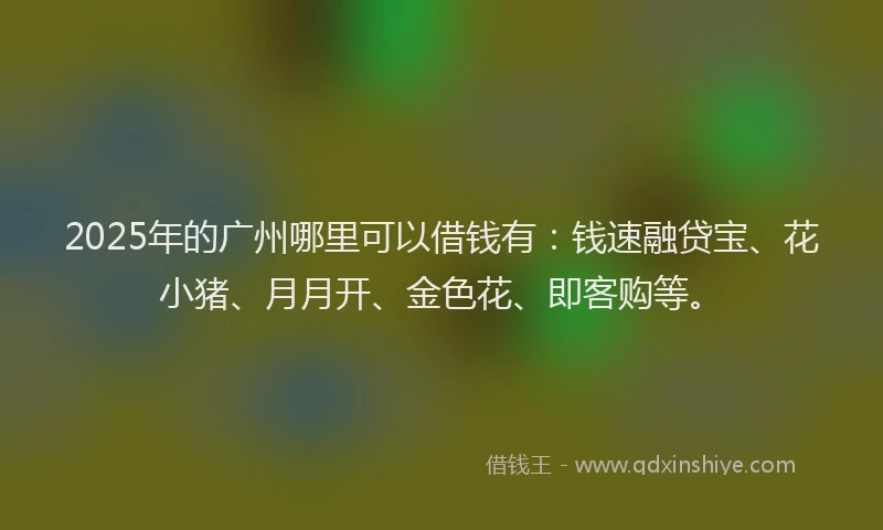 2025年的广州哪里可以借钱有：钱速融贷宝、花小猪、月月开、金色花、即客购等。