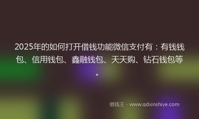 2025年的如何打开借钱功能微信支付有：有钱钱包、信用钱包、鑫融钱包、天天购、钻石钱包等。