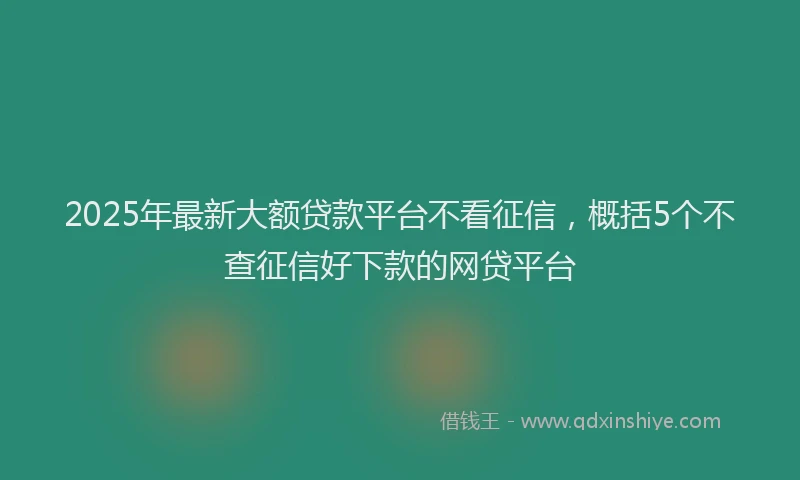 2025年最新大额贷款平台不看征信，概括5个不查征信好下款的网贷平台